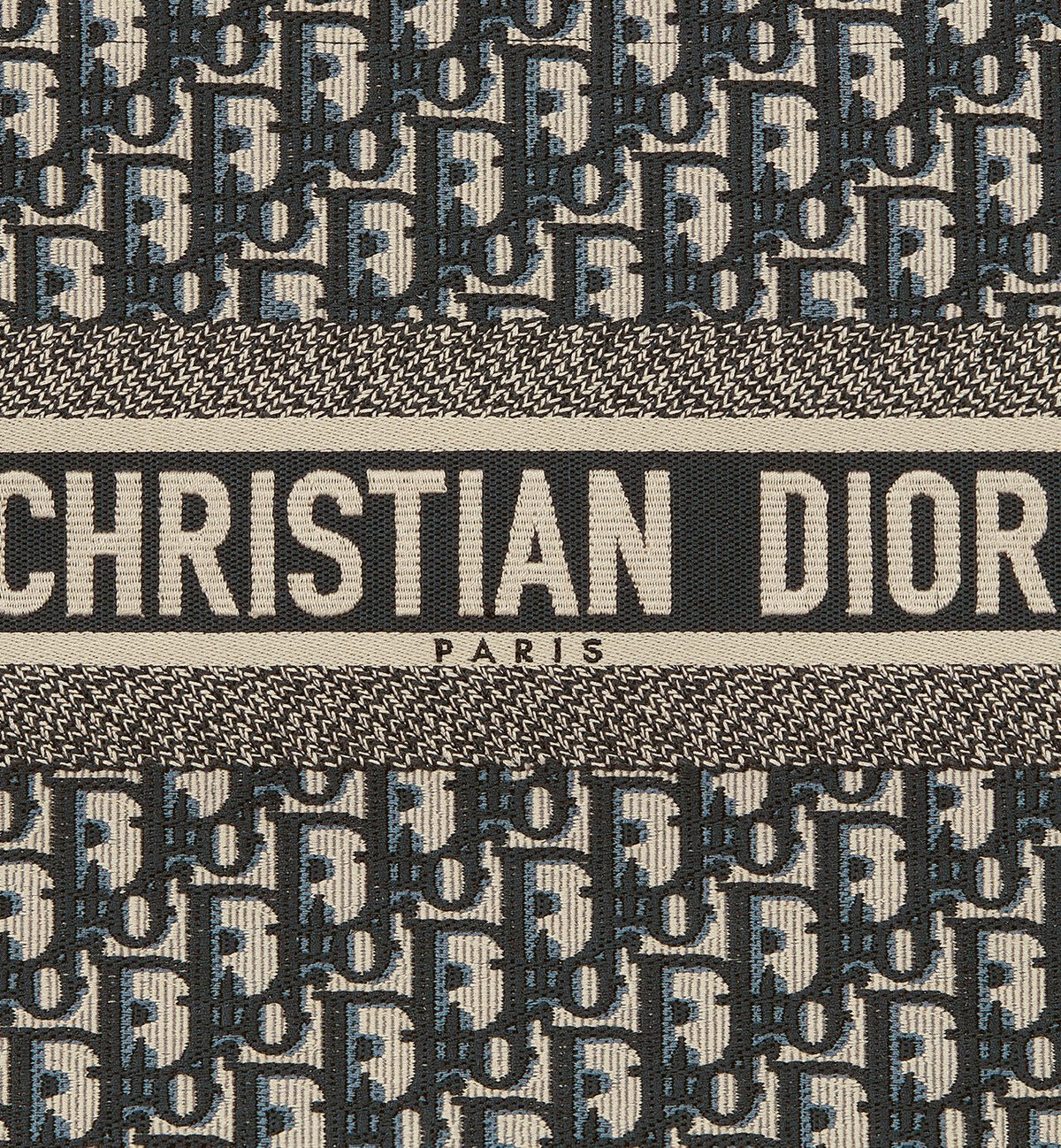 Dior Sac Book Tote Medium Bleu