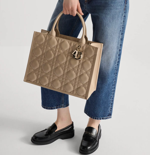 Dior Book Tote Medium Bag Pink