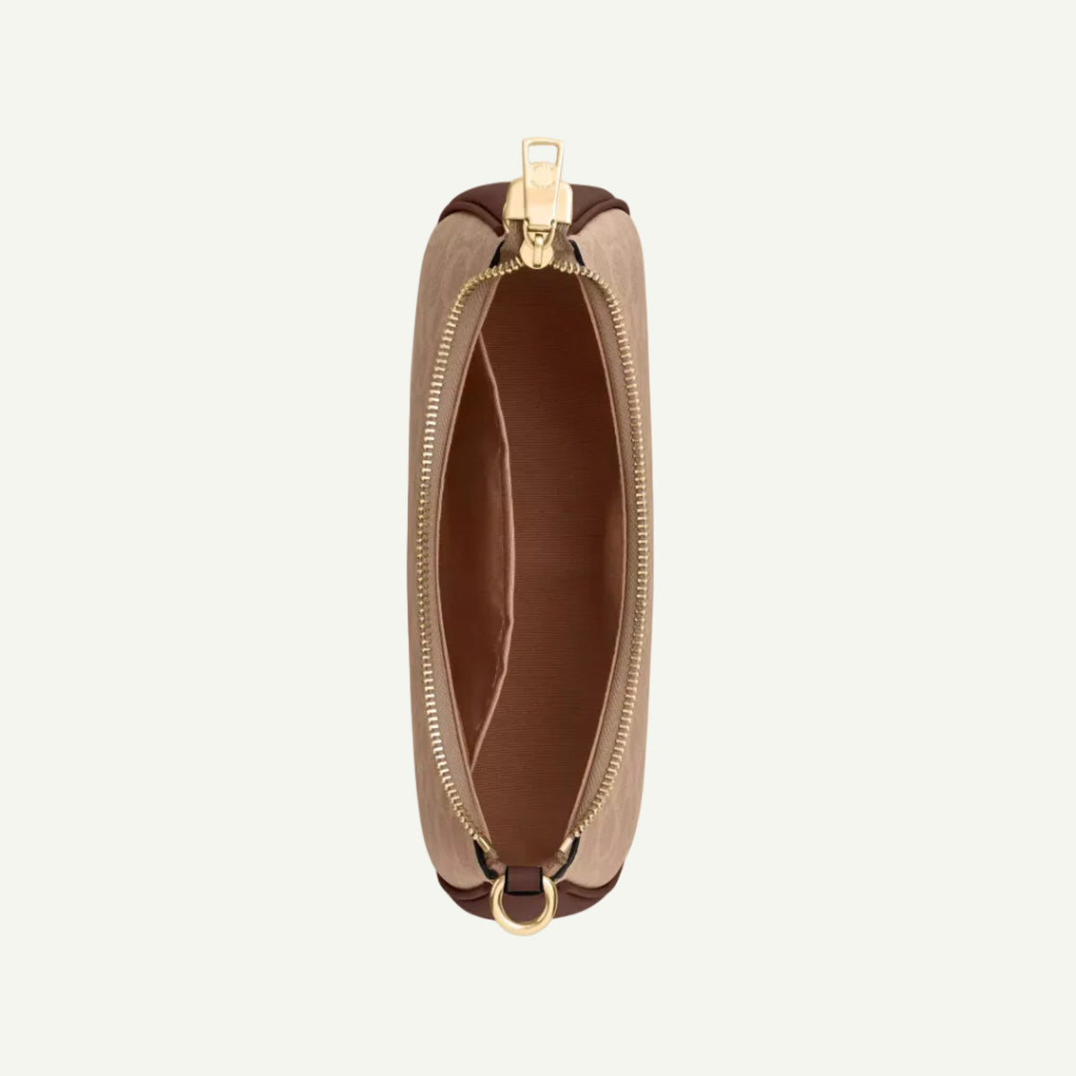Coach Teri Canvas Bag Brown