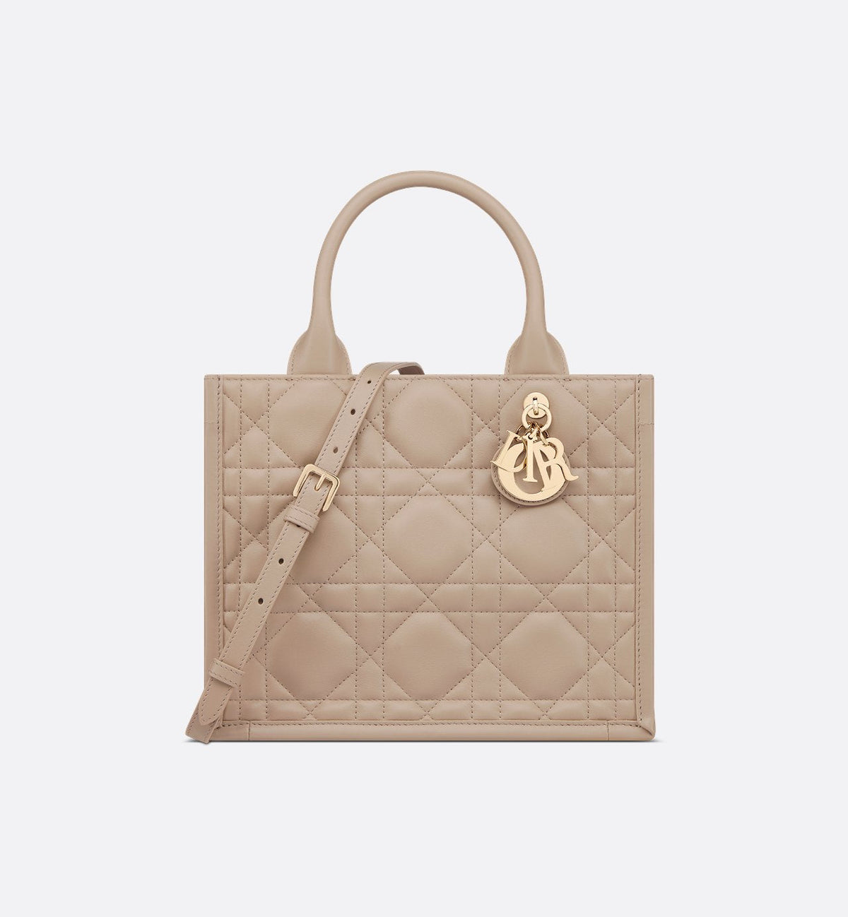 Dior Sac Book Tote Small Rose