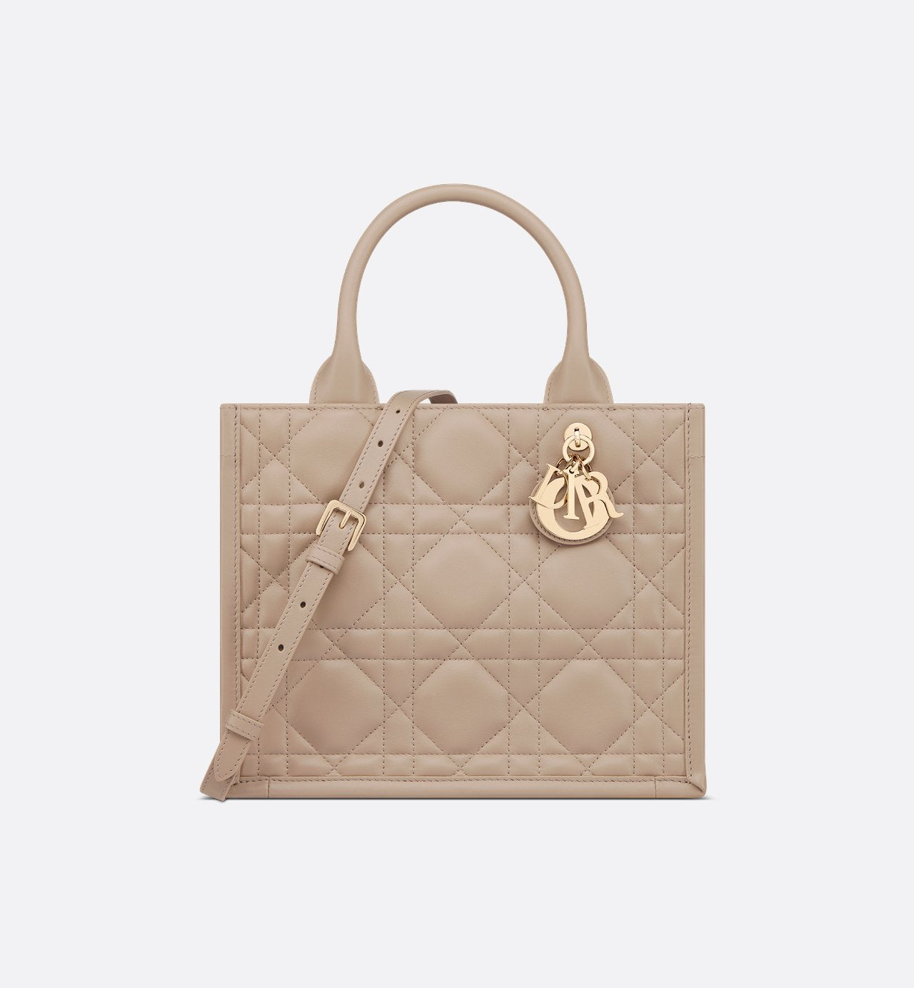Dior Sac Book Tote Small Rose