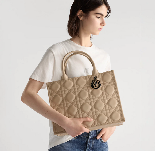 Dior Book Tote Medium Bag Beige