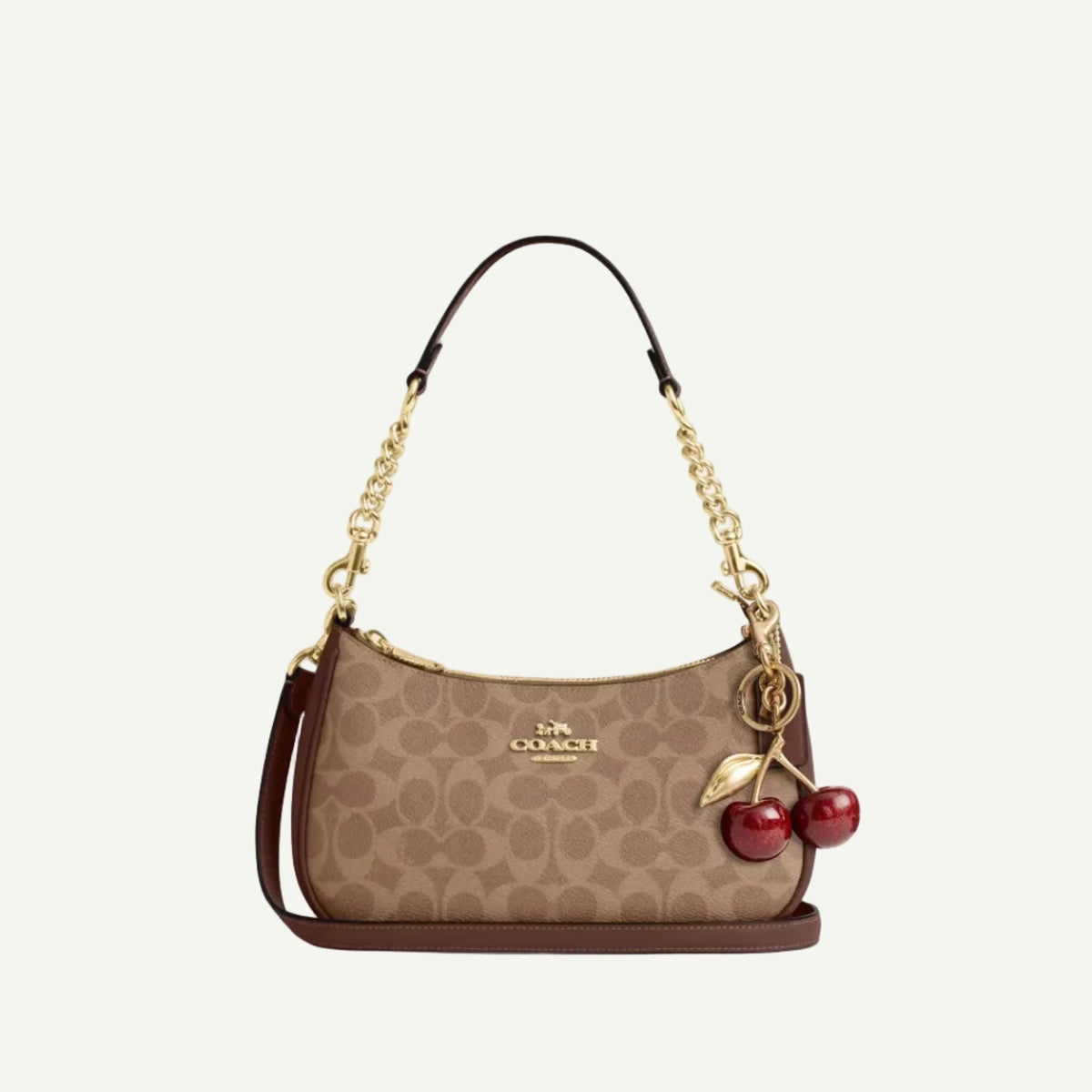 Coach Teri Canvas Bag Brown