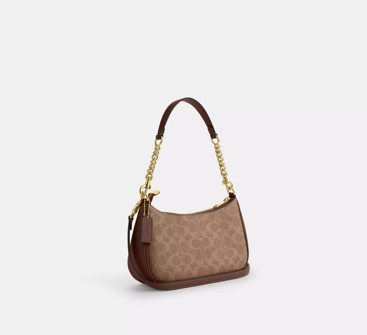 Coach Teri Canvas Bag Brown